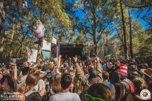 Image of Suwannee Hulaween 2017 - Live Oak, FL - Round 5