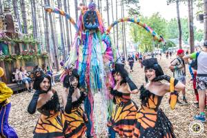 Image of Electric Forest 2018 - Rothbury, MI - Weekend 2 - Round 1