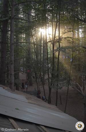 Image of Electric Forest 2016 - Rothbury, MI