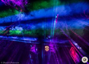 Image of Electric Forest 2016 - Rothbury, MI