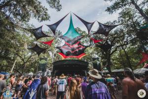 Image of Flashbay Friday Album : Suwannee Hulaween 2016