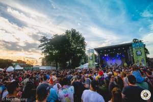 Image of North Coast Music Festival 2016 - Chicago, IL