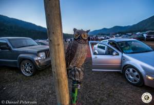 Image of Shambhala 2016 Photos - Nelson, British Columbia, CA