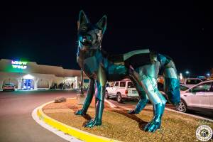 Image of Justin Martin @ Meow Wolf - Santa Fe, NM