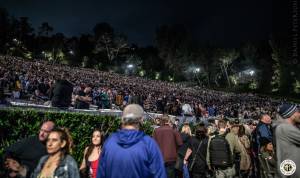 Image of 50 Photos from Dead & Company @ Hollywood Bowl - Los Angeles, CA - 6/3/19