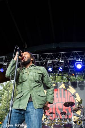 Image of Ziggy Marley & Michael Franti @ Cuthbert Amphitheater - Eugene, OR