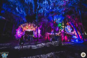 Image of Flashbay Friday Album : Suwannee Hulaween 2016