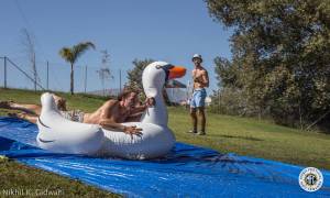 Image of Throwback Thursday - Dirtybird Campout West Coast