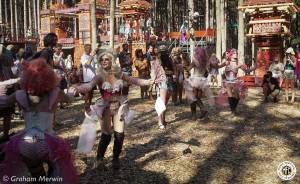 Image of Electric Forest 2016 - Rothbury, MI