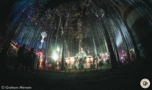 Image of Electric Forest 2016 - Rothbury, MI