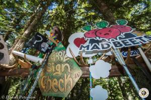 Image of Shambhala 2016 Photos - Nelson, BC, Canada