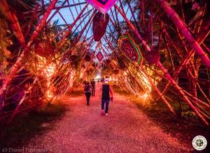 Image of The BPM Festival 2017 - Playa del Carmen - Mexico - Round 1