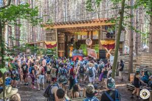 Image of Electric Forest 2017 - Rothbury, MI - Weekend 1 - Round 1