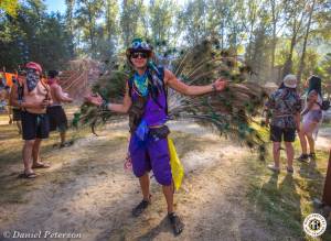 Image of Shambhala 2016 Photos - Nelson, British Columbia, CA