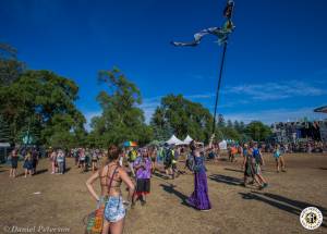 Image of Electric Forest 2016 - Rothbury, MI