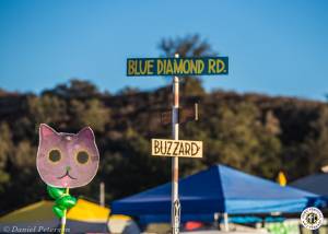 Image of Dirtybird Campout 2016 - Silverado, CA