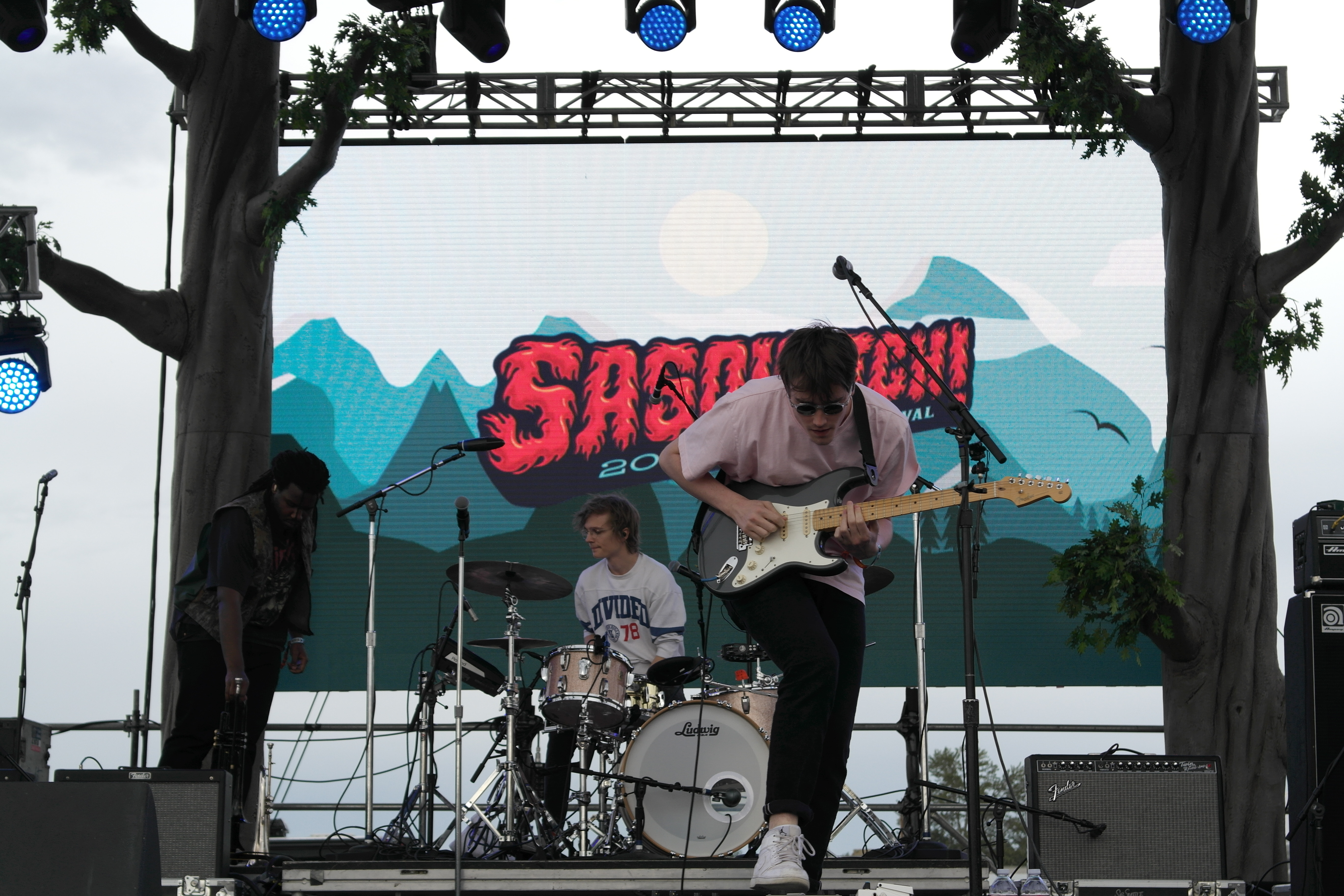 Hippo Campus
