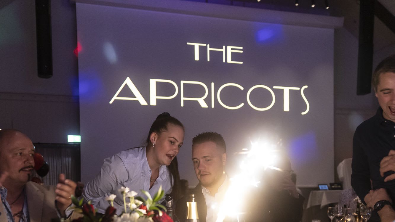 The Apricots · Music Handshake