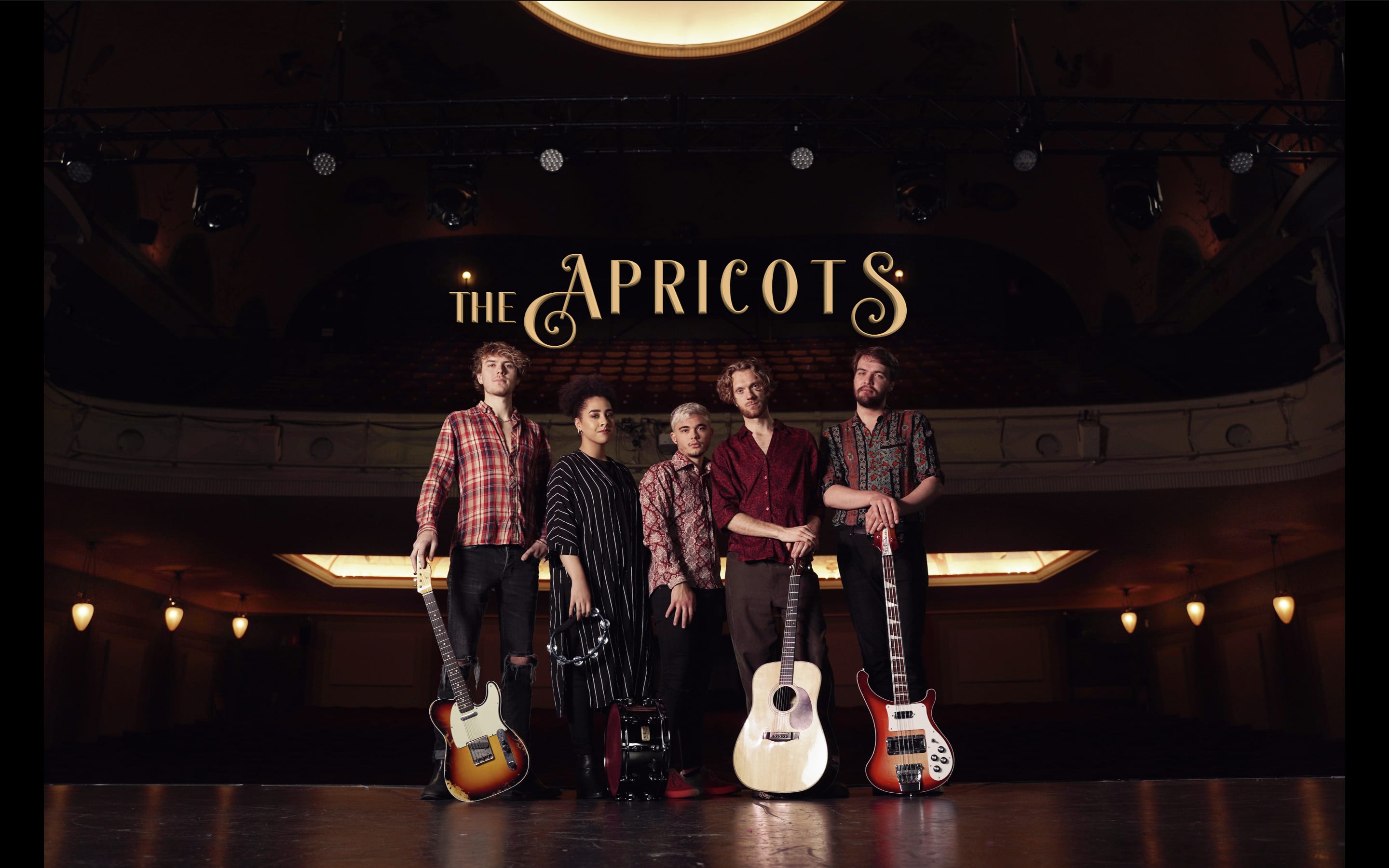 The Apricots · Music Handshake