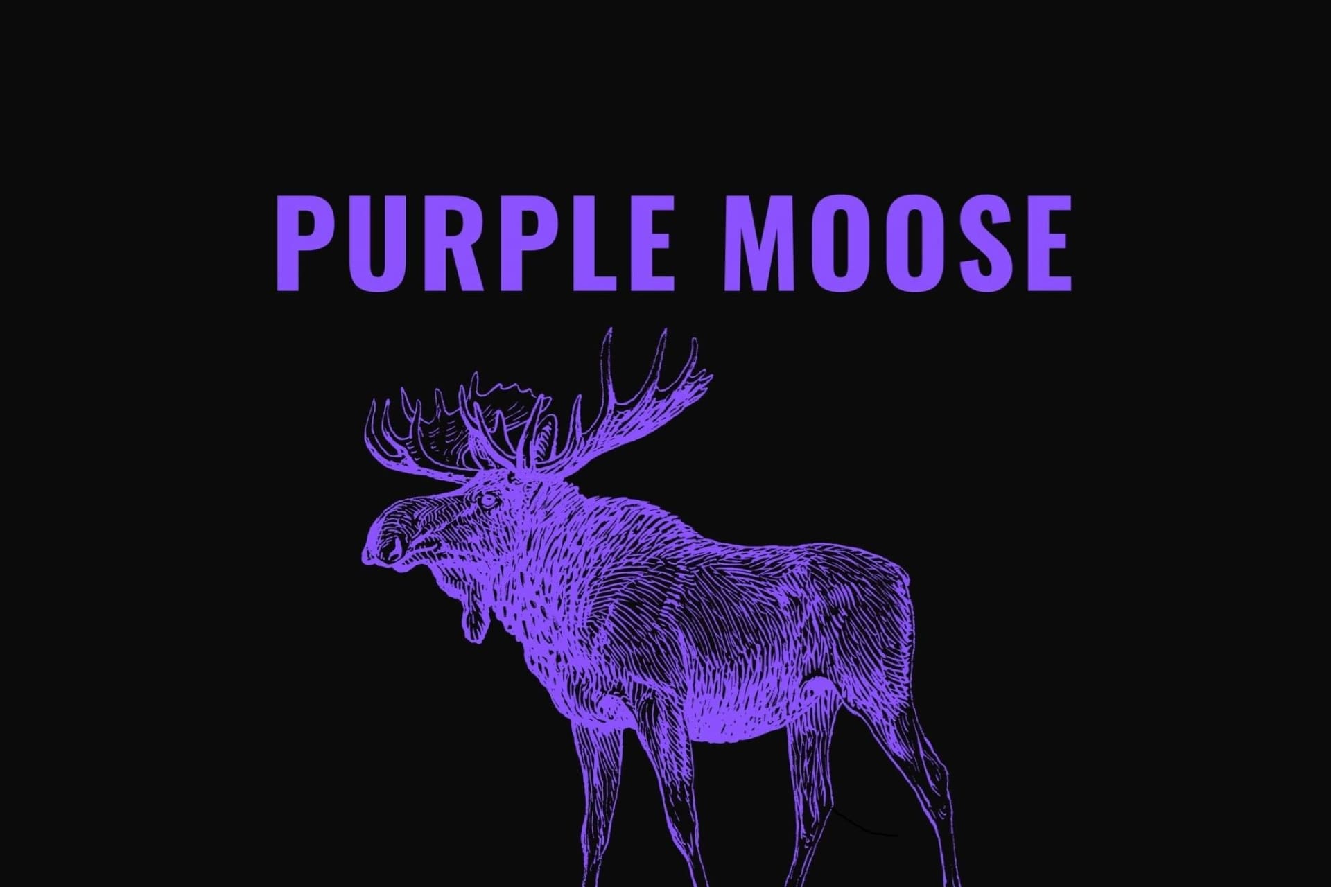Purple Moose, bild 2