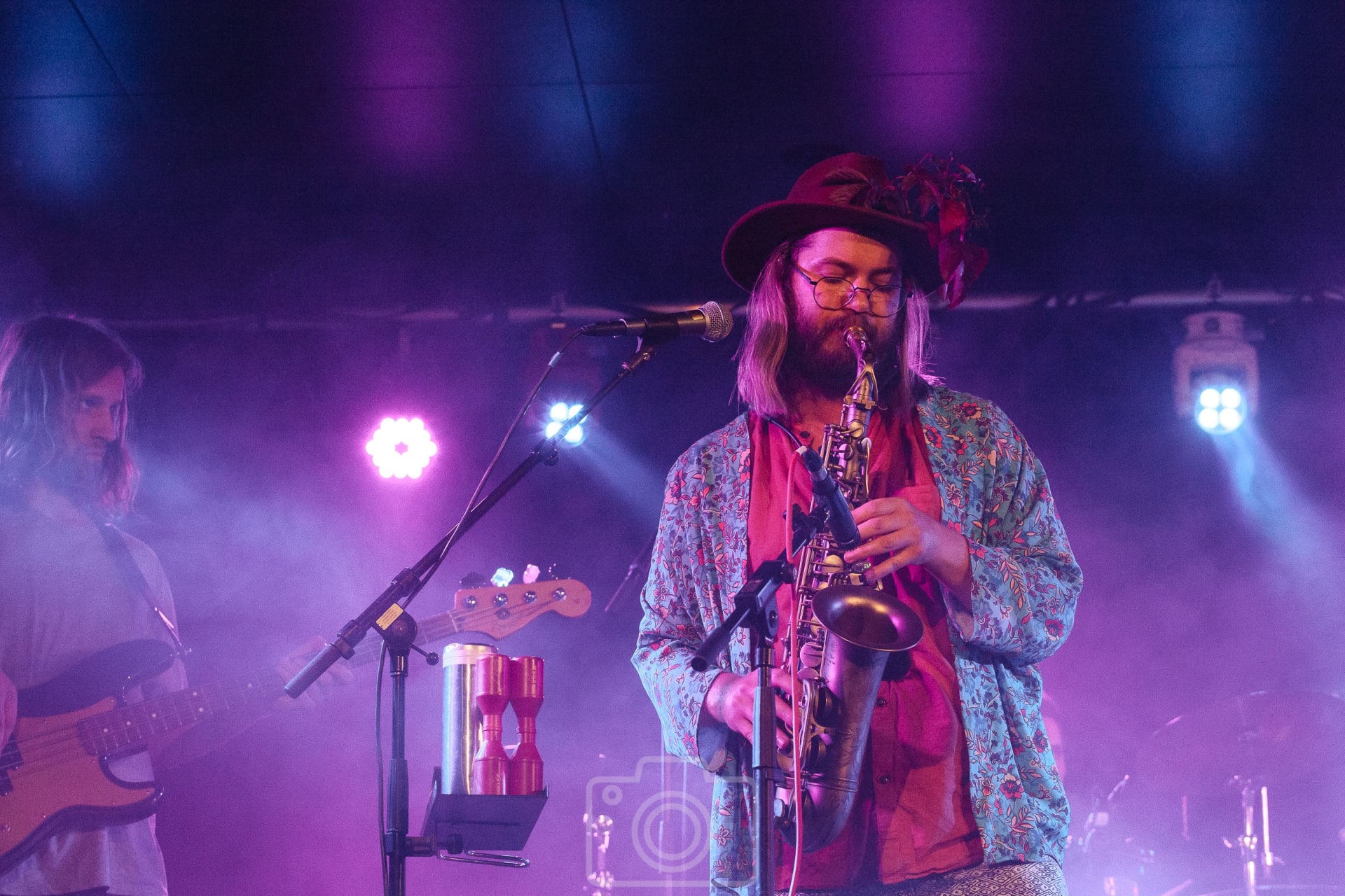 Ärtor & löv, bild 4