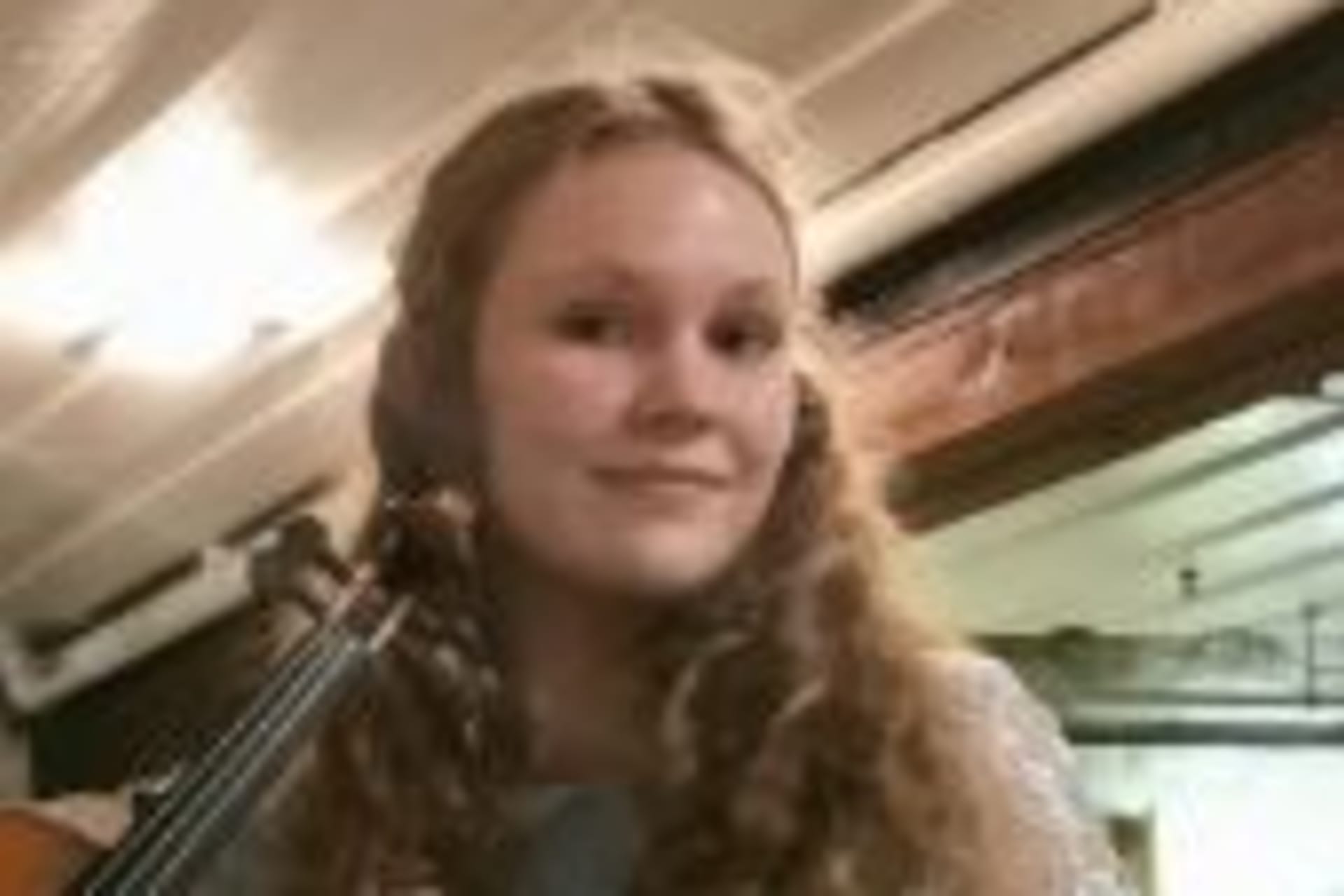 Violinist, bild 1