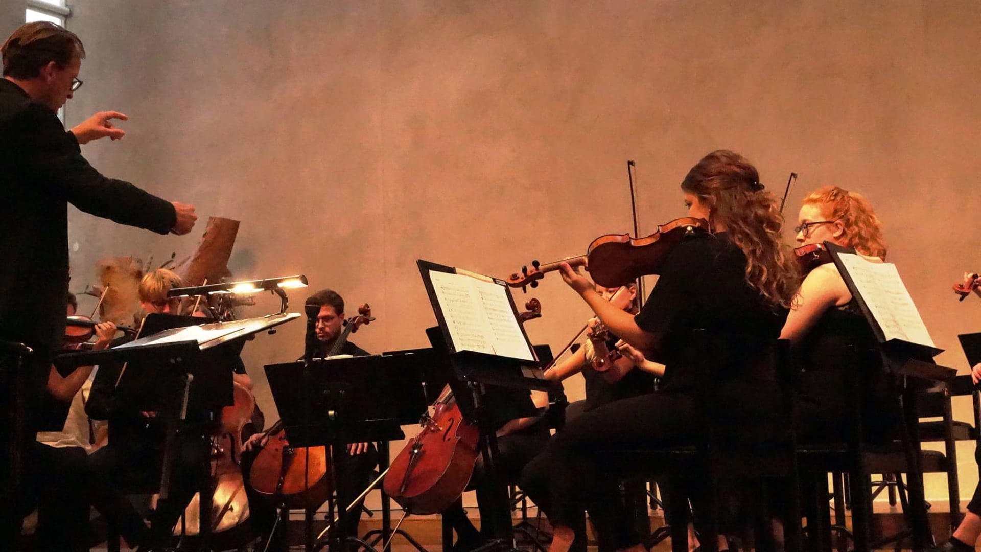 SoFo Chamber Orchestra, bild 1