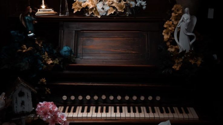 Felix Tani pianist , bild 1