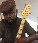 Wayne P offers Bass lessons in   Mc Adenville, NC 