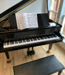 Sau Yee T offers Music lessons in   Brighton, CO 