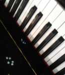 Art L offers Voice lessons in   Geronimo, TX 