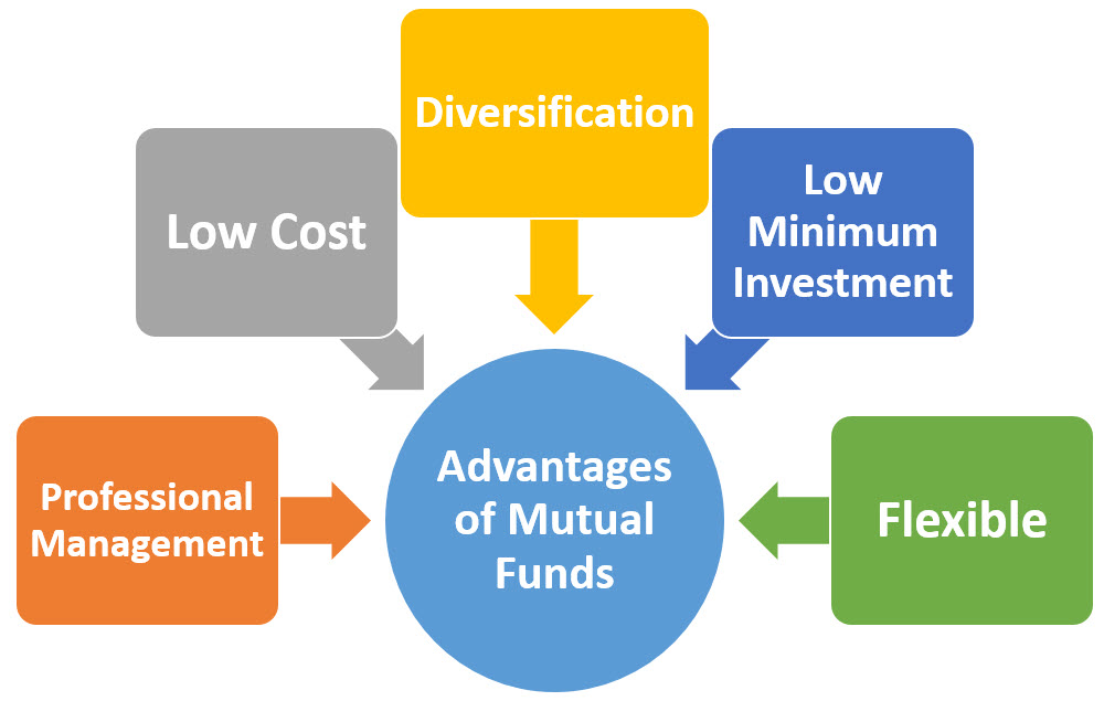 Mutual Fund Investment Exemplified