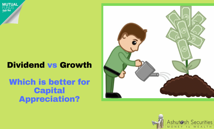 Dividend vs Growth: Which is better for Capital Appreciation?