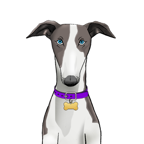 Whippet NFT