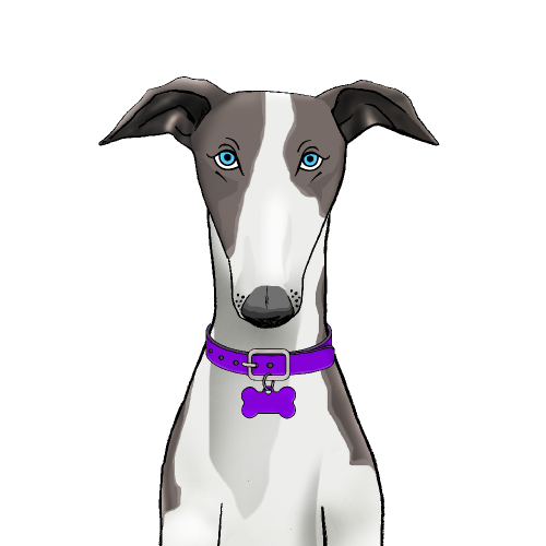 Whippet NFT