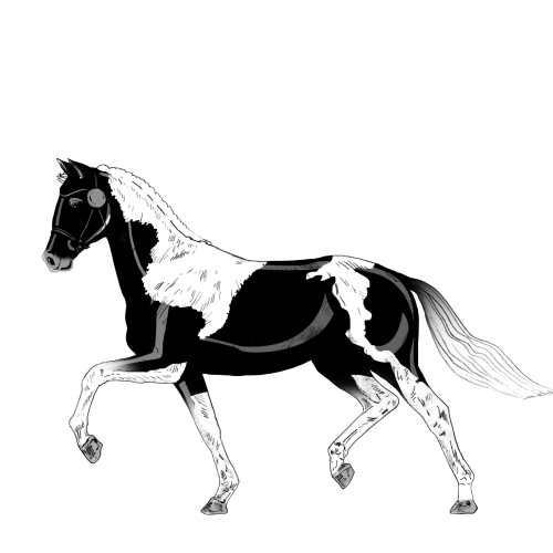 Horse NFT