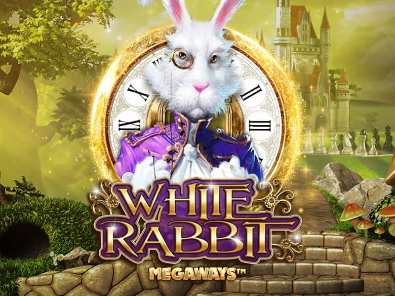 White Rabbit