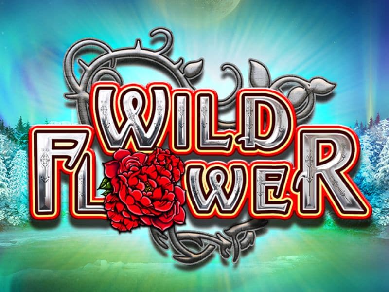 Wild Flower