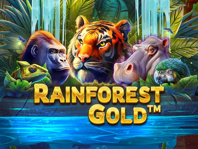 Rainforest Gold