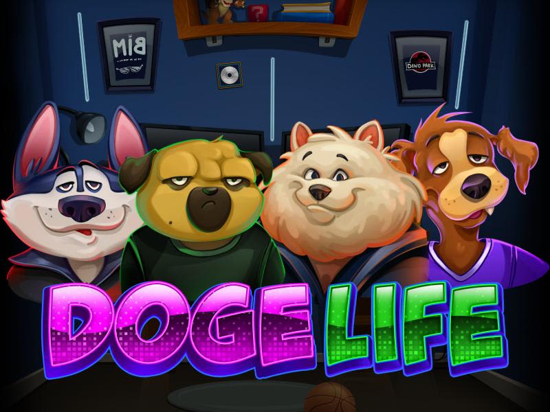 Doge Life