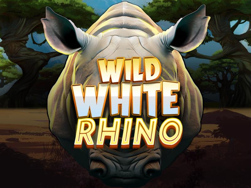 Wild White Rhino