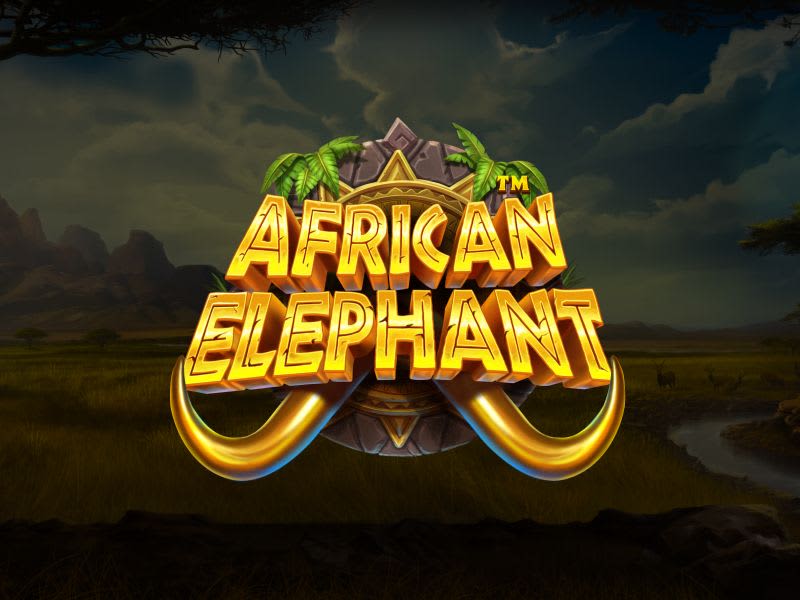 African Elephant