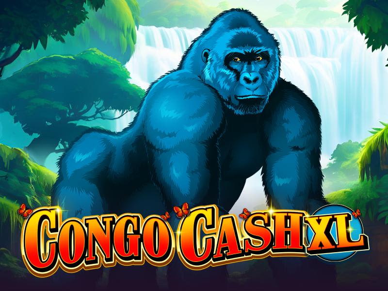 Congo Cash XL