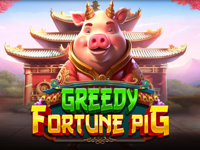 Greedy Fortune Pig