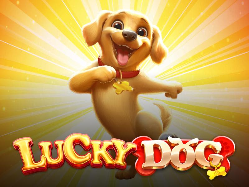 Lucky Dog