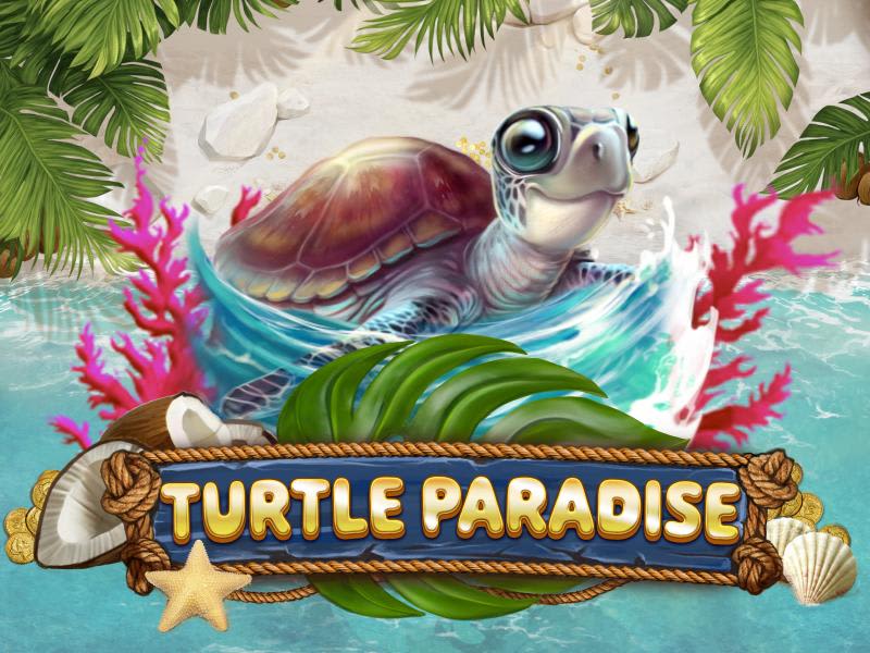 Turtle Paradise