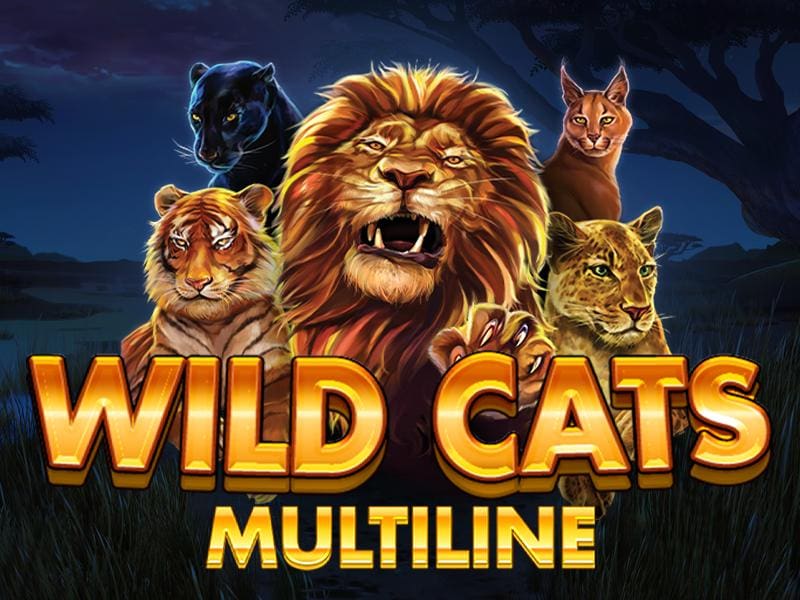 Wild Cats Multiline