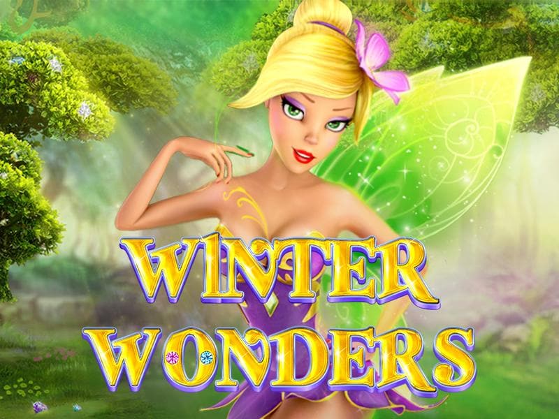 Winter Wonders