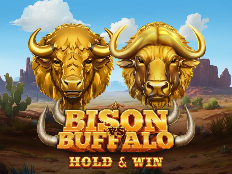 Bison vs Buffalo
