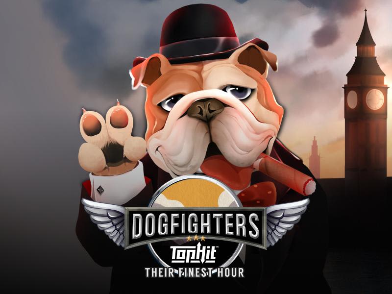Dogfighters – Their Finest Hour TopHit™